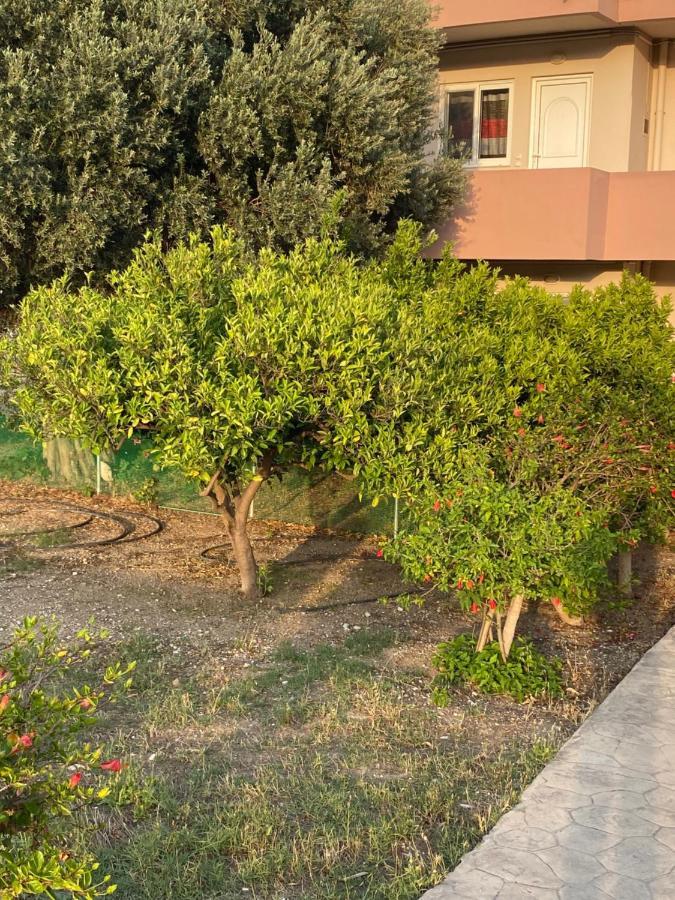 Appartamento Fotis House Afando Esterno foto