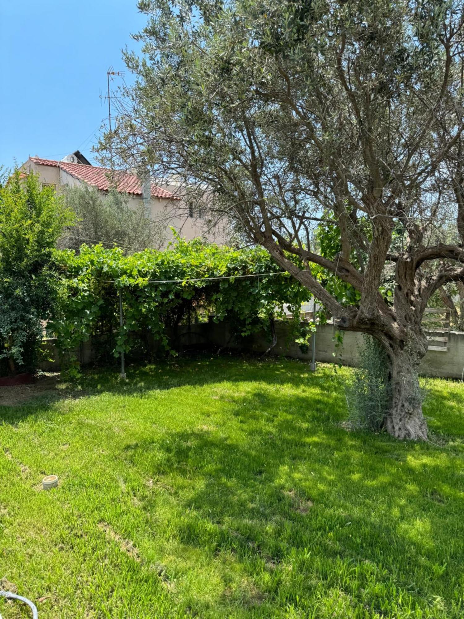 Appartamento Fotis House Afando Esterno foto